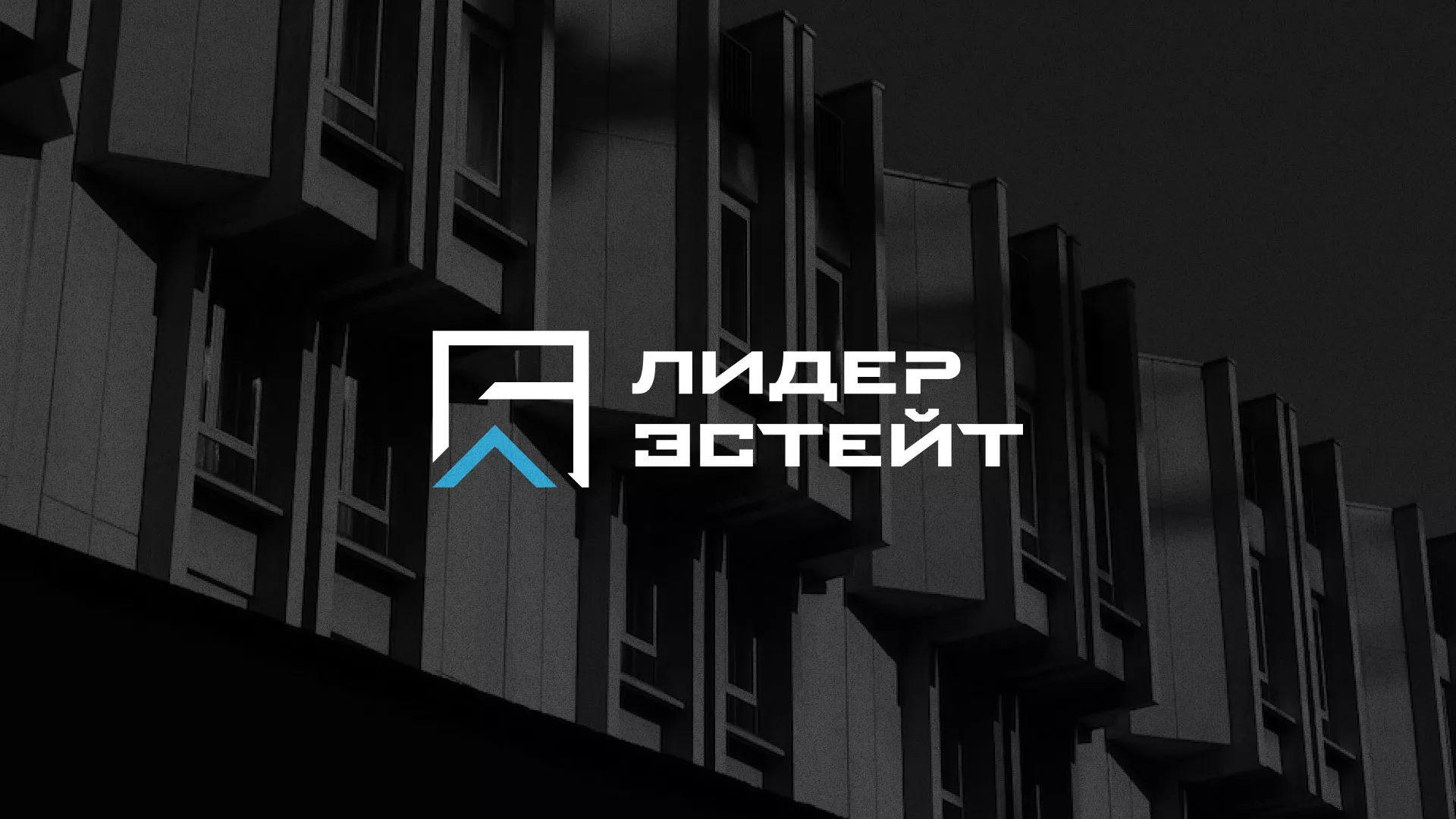 Разработка логотипа агентства недвижимости «Лидер Эстейт» в Новошахтинске